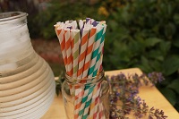 Paper Straws and Organic Cocktails for Cooler Weather Part 2:Winter