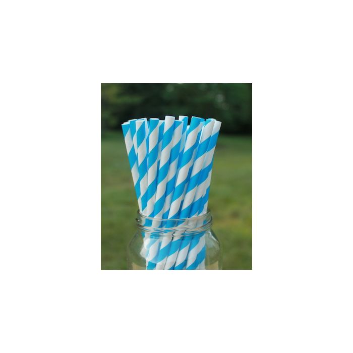 Eco-Friendly Paper Straws - Blue