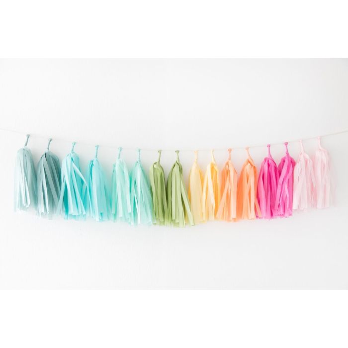 Tissue Paper Tassel Garland Kit - Rainbow