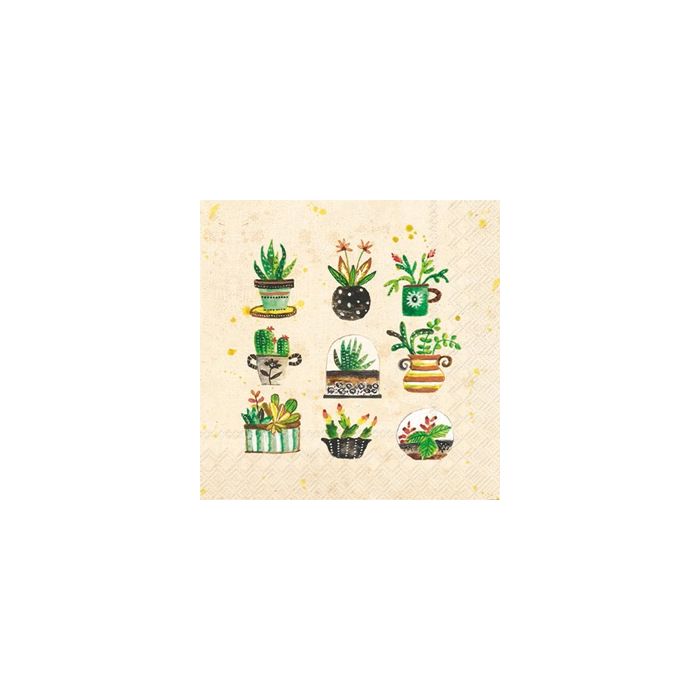 Succulents Cocktail Napkin - 20 napkins per package