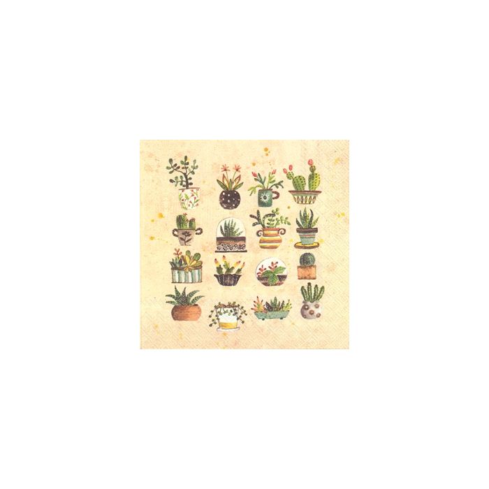 Succulents Lunch Napkin - 20 napkins per package