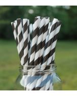 Eco-Friendly Paper Straws - Black