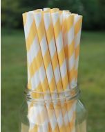 Eco-Friendly Paper Straws - Yellow