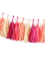 Macaron Tissue Paper Tassel Garland - 6'