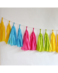 Neon Tissue Paper Tassel Garland - 6' Long