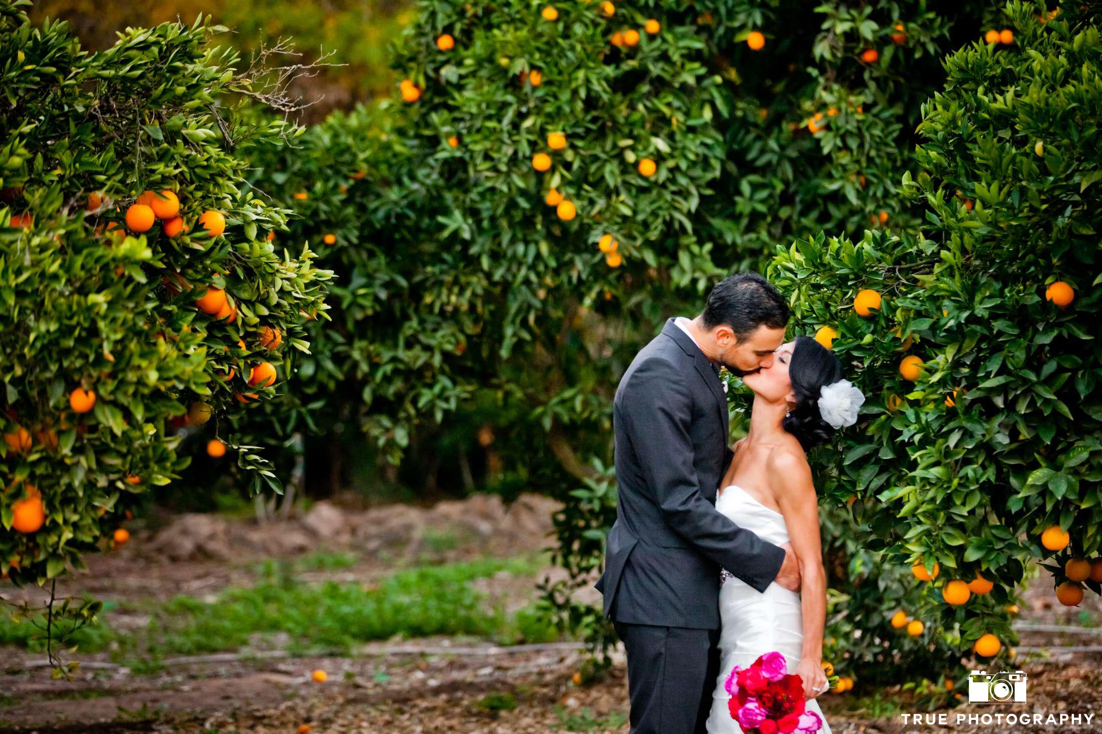 Citrus Wedding Decor Ideas Ecopartytime