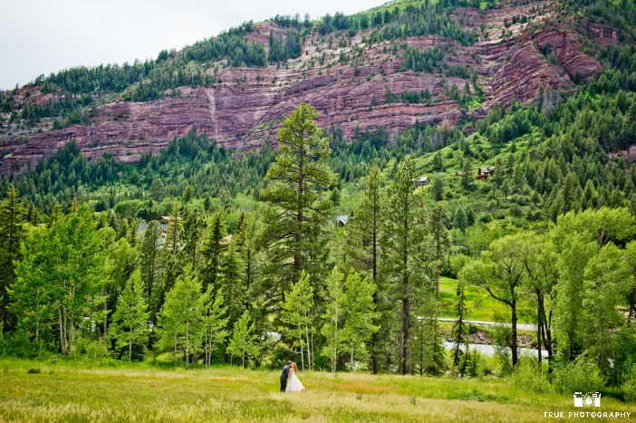 Earth Day Wedding Backdrop Ideas from Ecopartytime Majestic Mountain Backdrop