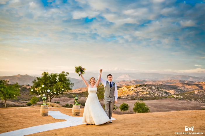 Earth Day Wedding Backdrop Ideas from Ecopartytime Desert Backdrop