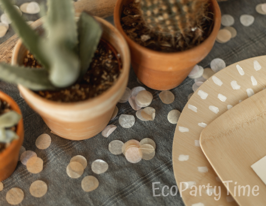 Ecofriendly Paper Confetti-Ecofriendly DIY Baby Shower