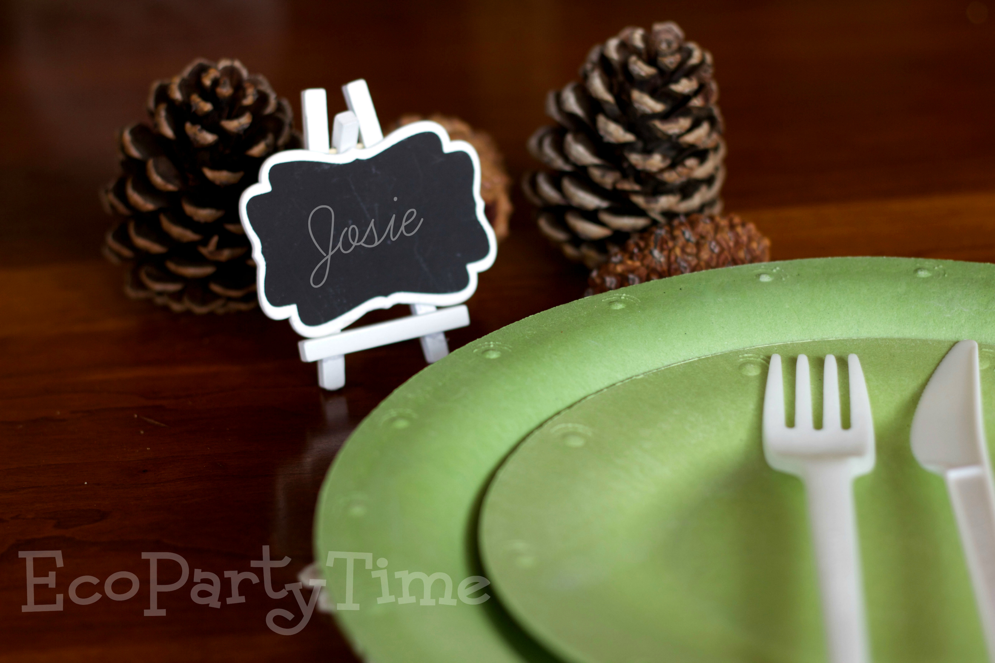 Ecopartytime: The Best Products for an Eco-Friendly Woodland Party 