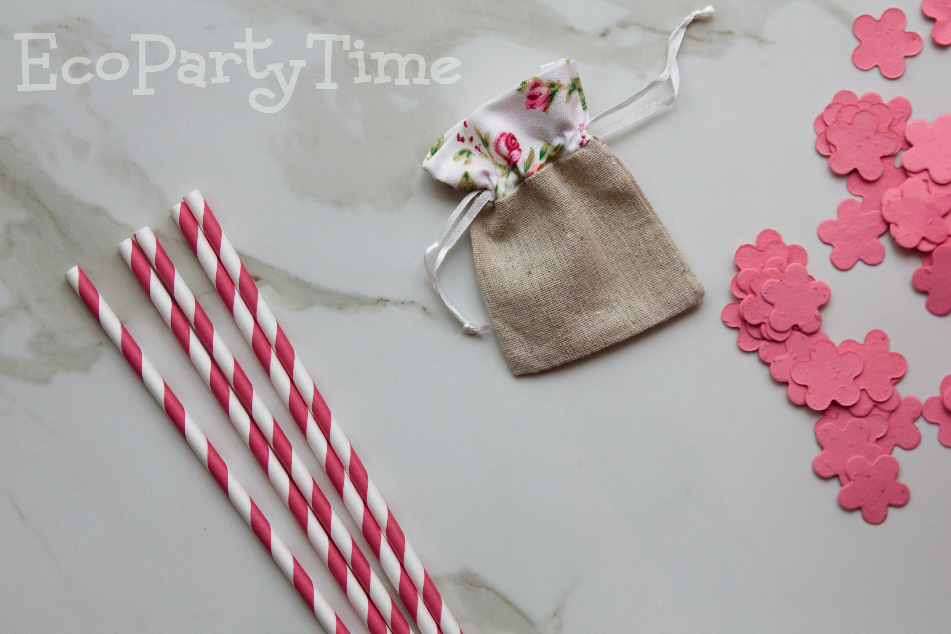 Ecopartytime: Eco-Friendly Color Themed Party 