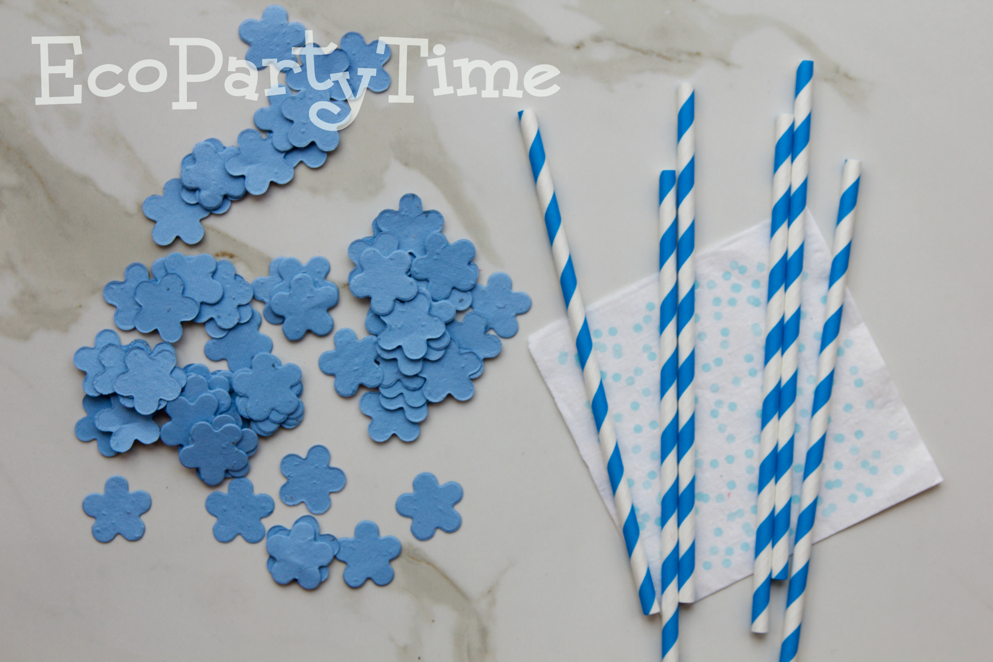 Ecopartytime: Eco-Friendly Color Themed Party 