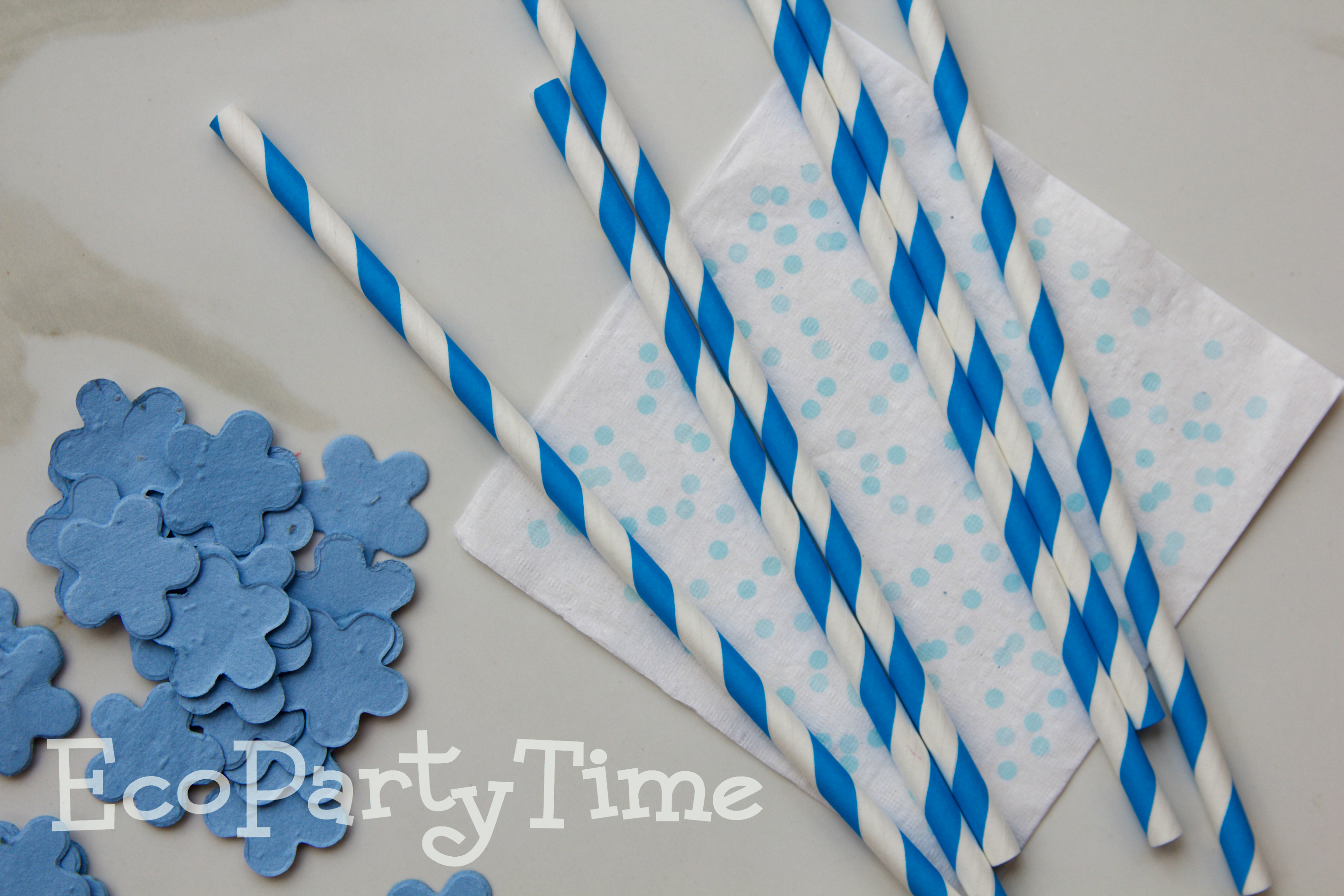 Ecopartytime: Eco-Friendly Color Themed Party 