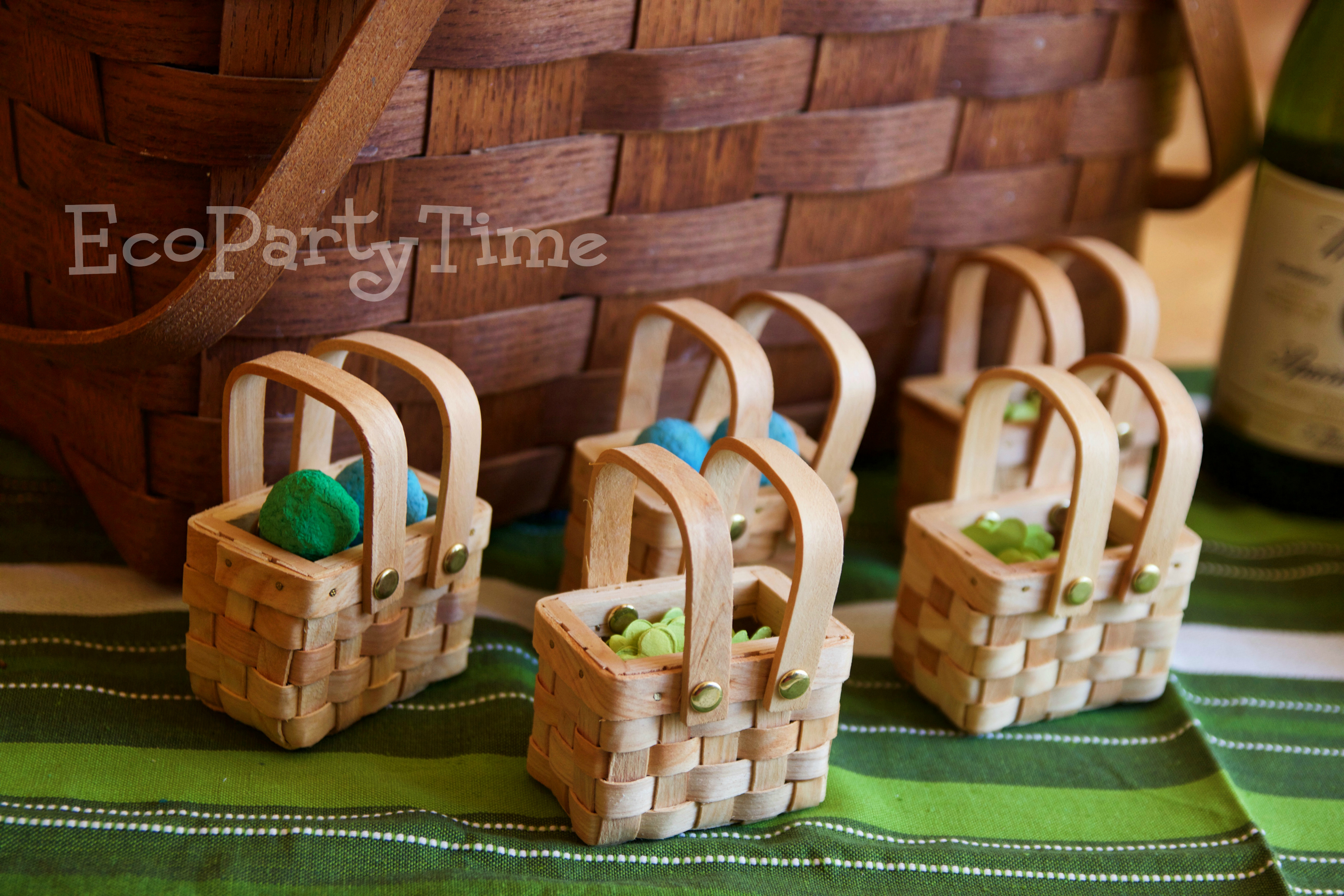 Ecopartytime: Eco-Friendly Earth Day Picnic