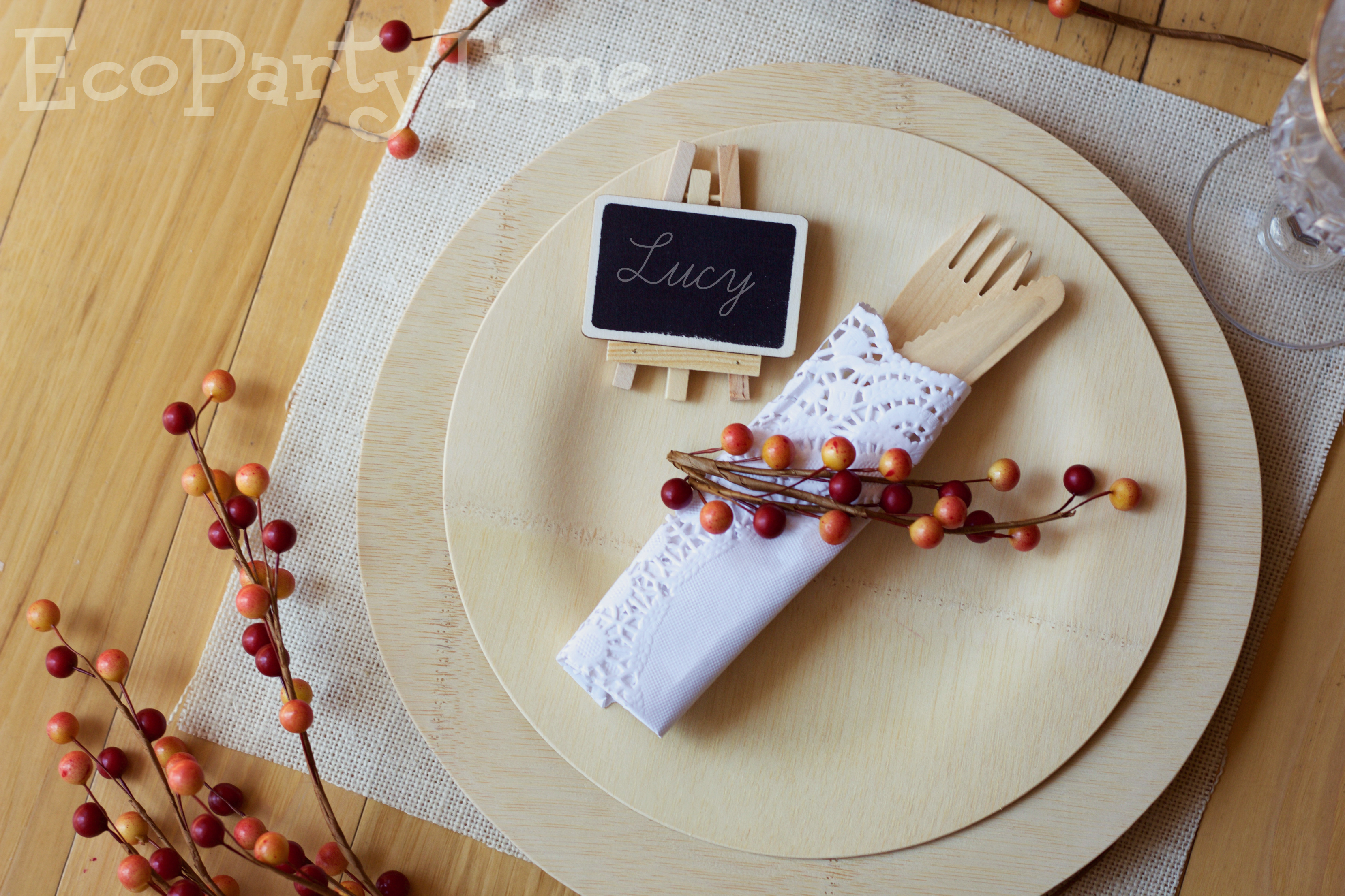 Ecopartytime: Eco-Friendly Fall Place Settings 