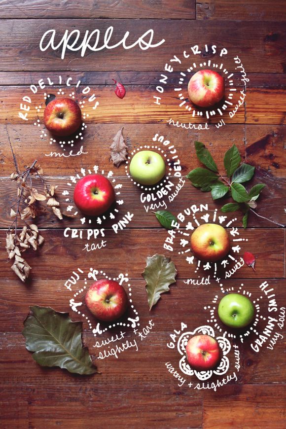 Sustainable Apple Wedding by Ecopartytime - Apple Types