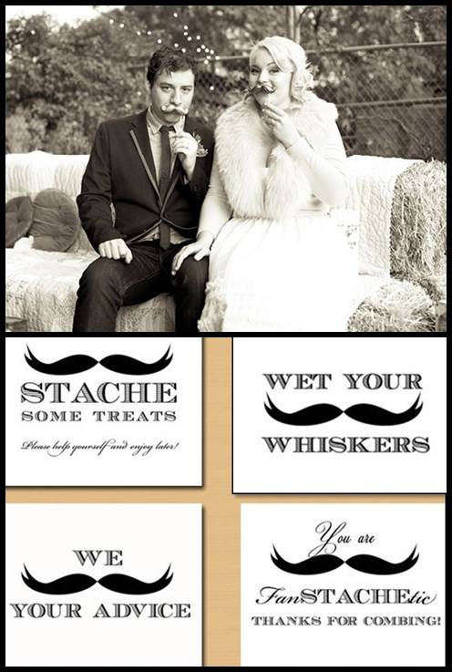 Mustache Wedding Props & Mustache Signs